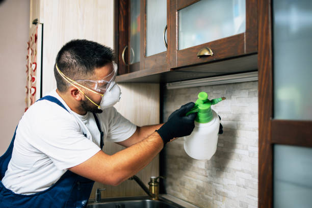 Best Pest Removal Services  in Yuma, AZ