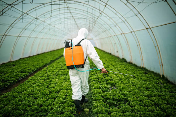 Best Best Pest Control Companies  in Yuma, AZ