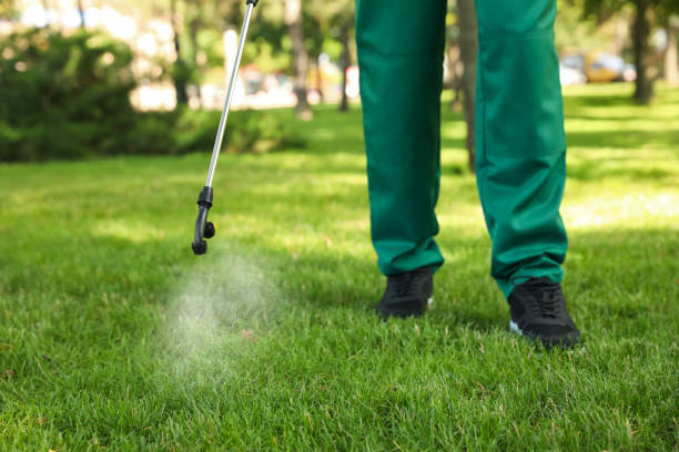 Best Best Pest Control Companies  in Yuma, AZ