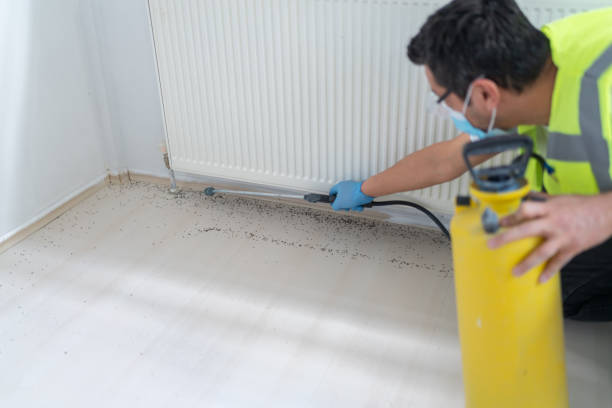 Best Residential Pest Control  in Yuma, AZ